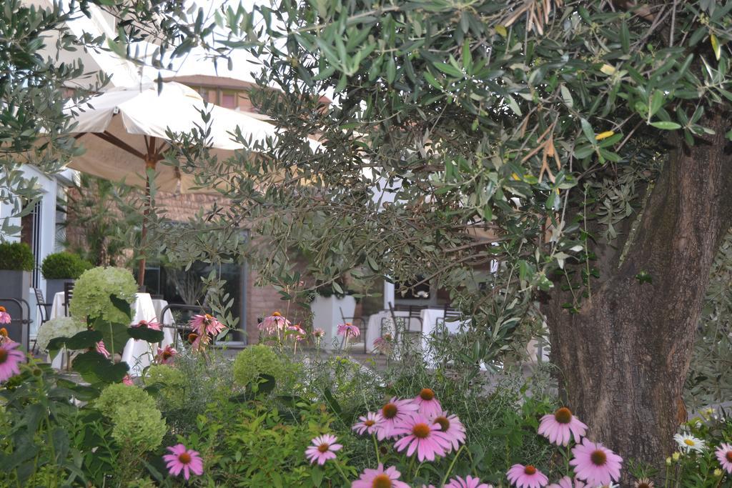 Albergo La Pace Segni Exteriör bild